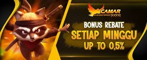Bonus Rebate VIP Slot 0.5% Tiap Minggu promotion banner